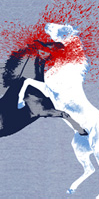 HORSEKILL.PNG