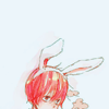 dn2.png