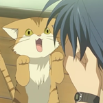 catscaring.png