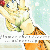 beauty.gif
