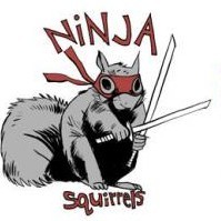 ninjasquirrel2.JPG