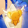 CCS025.png