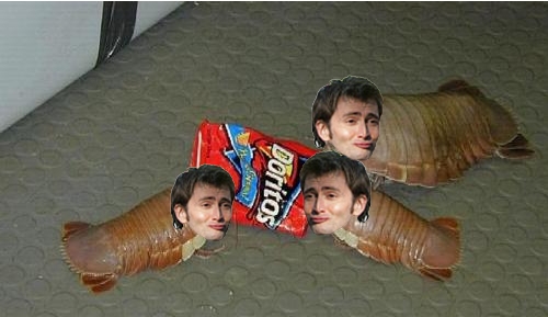 ohtennant.jpg